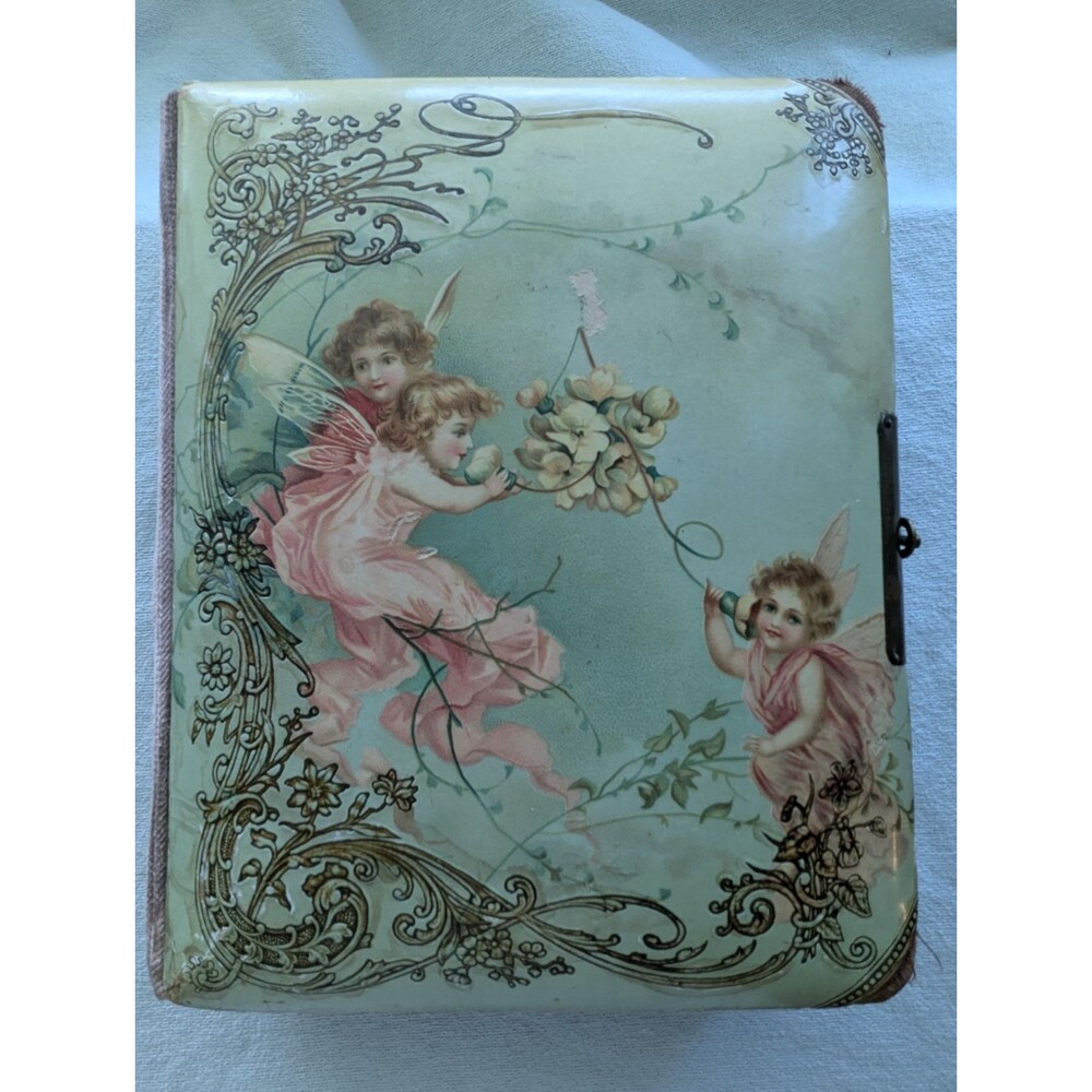 Antique Victorian Celluloid Photo Album Runkle Family Urbana Ohio Tintype
